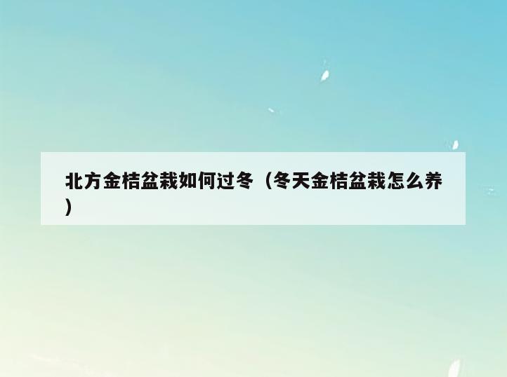 北方金桔盆栽如何过冬(冬天金桔盆栽怎么养)