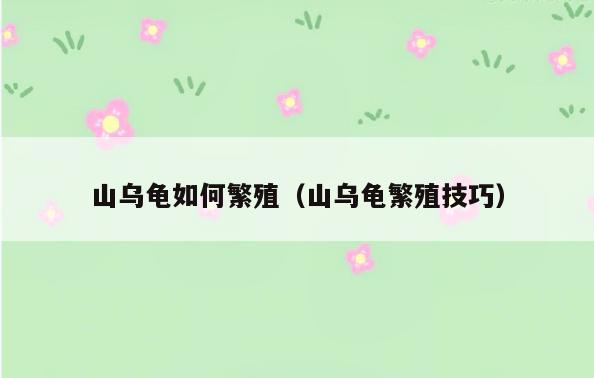 山乌龟如何繁殖(山乌龟繁殖技巧)