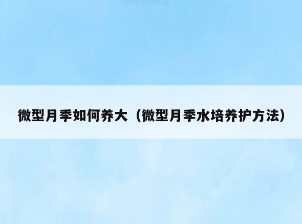 微型月季如何养大(微型月季水培养护方法)