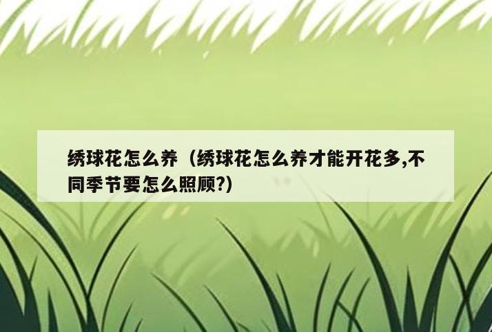 绣球花怎么养(绣球花怎么养才能开花多,不同季节要怎么照顾?)