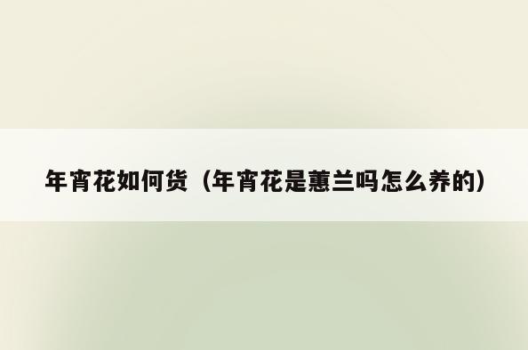 年宵花如何货(年宵花是蕙兰吗怎么养的)