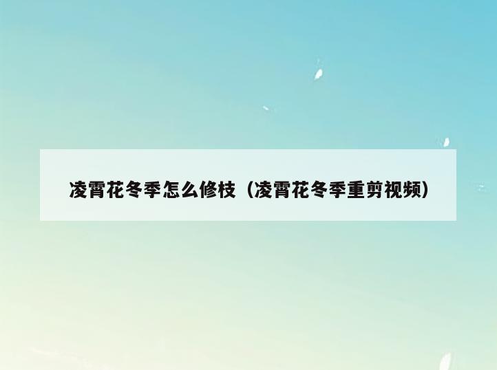 凌霄花冬季怎么修枝(凌霄花冬季重剪视频)