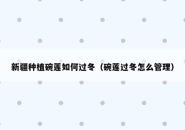 新疆种植碗莲如何过冬(碗莲过冬怎么管理)