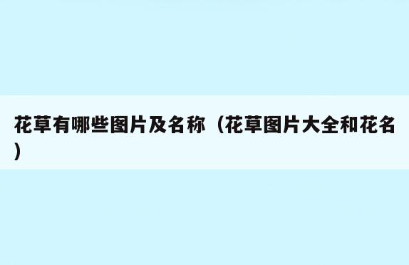 花草有哪些图片及名称(花草图片大全和花名)