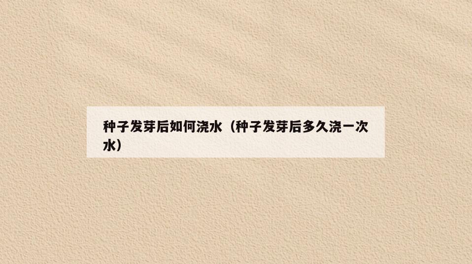 种子发芽后如何浇水(种子发芽后多久浇一次水)