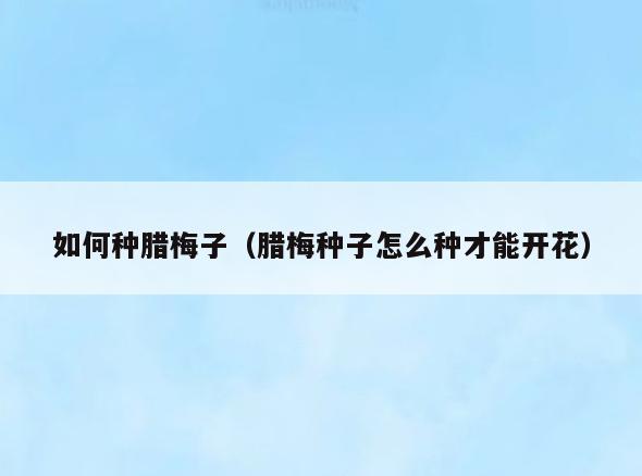如何种腊梅子(腊梅种子怎么种才能开花)