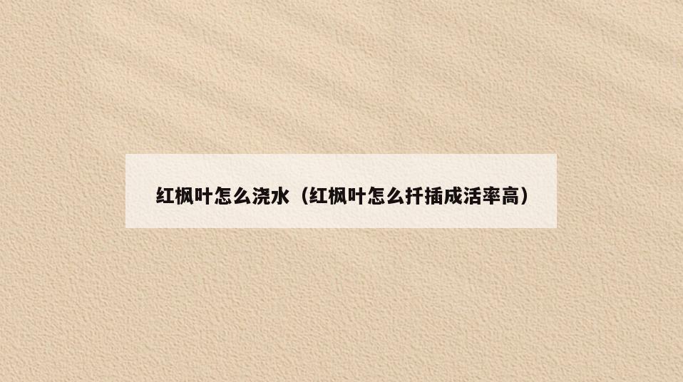 红枫叶怎么浇水(红枫叶怎么扦插成活率高)