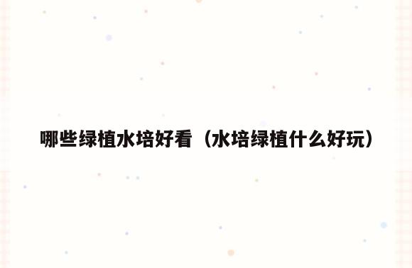 哪些绿植水培好看(水培绿植什么好玩)