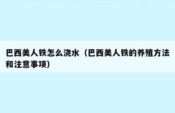巴西美人铁怎么浇水(巴西美人铁的养殖方法和注意事项)