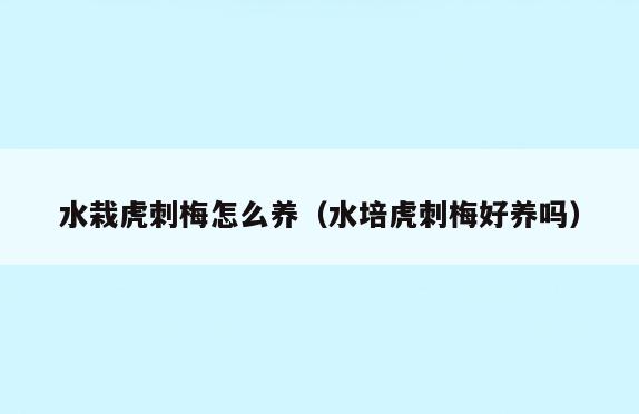 水栽虎刺梅怎么养(水培虎刺梅好养吗)
