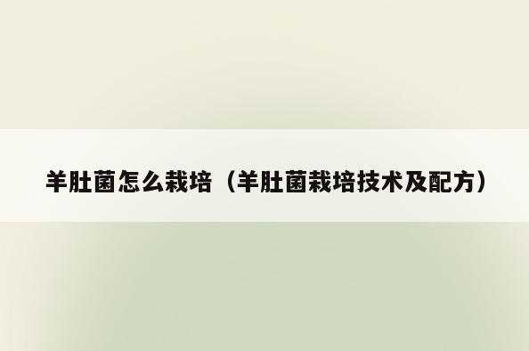 羊肚菌怎么栽培(羊肚菌栽培技术及配方)