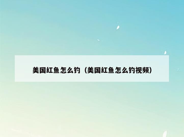 美国红鱼怎么钓(美国红鱼怎么钓视频)