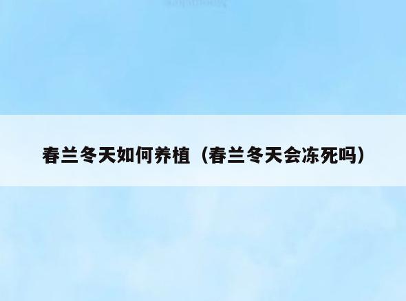 春兰冬天如何养植(春兰冬天会冻死吗)