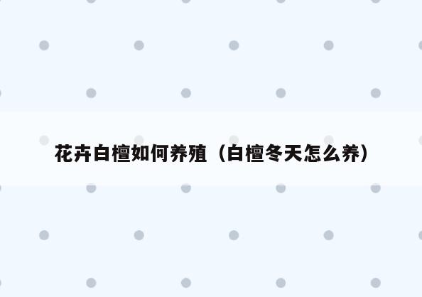 花卉白檀如何养殖(白檀冬天怎么养)