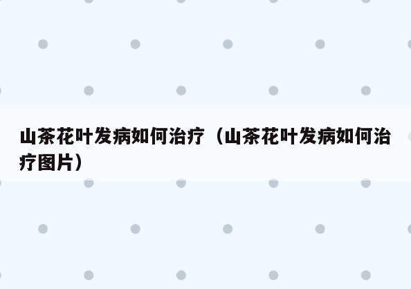 山茶花叶发病如何治疗(山茶花叶发病如何治疗图片)