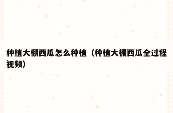 种植大棚西瓜怎么种植(种植大棚西瓜全过程视频)