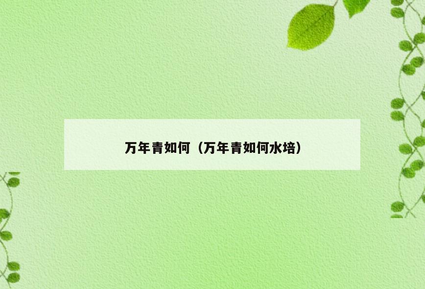 万年青如何(万年青如何水培)
