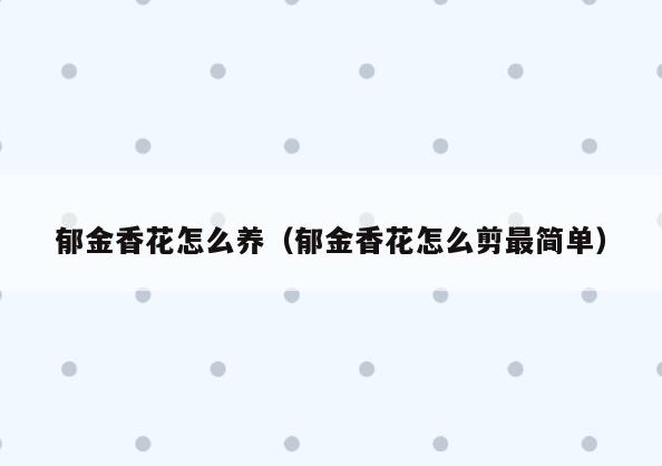 郁金香花怎么养(郁金香花怎么剪最简单)
