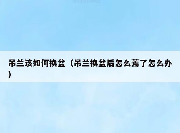 吊兰该如何换盆(吊兰换盆后怎么蔫了怎么办)