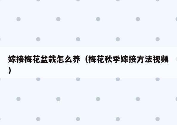 嫁接梅花盆栽怎么养(梅花秋季嫁接方法视频)