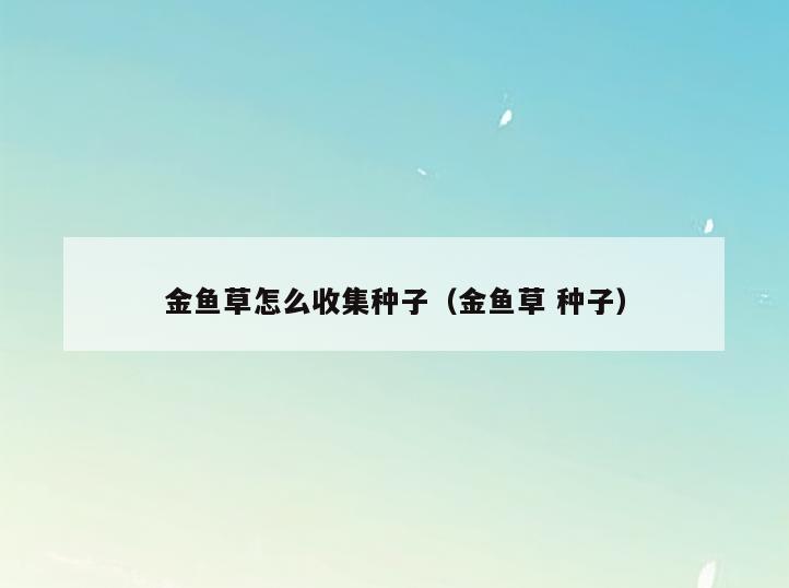 金鱼草怎么收集种子(金鱼草 种子)