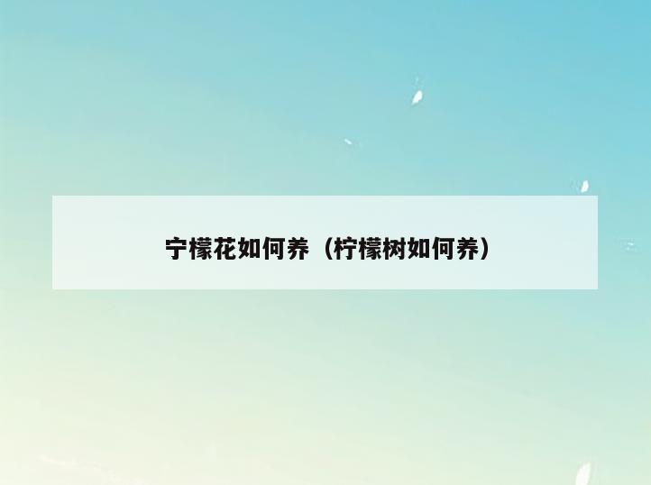 宁檬花如何养(柠檬树如何养)