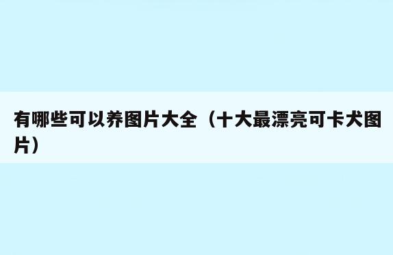 有哪些可以养图片大全(十大最漂亮可卡犬图片)