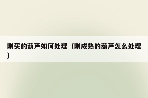 刚买的葫芦如何处理(刚成熟的葫芦怎么处理)
