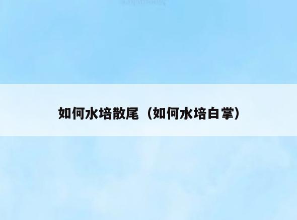 如何水培散尾(如何水培白掌)