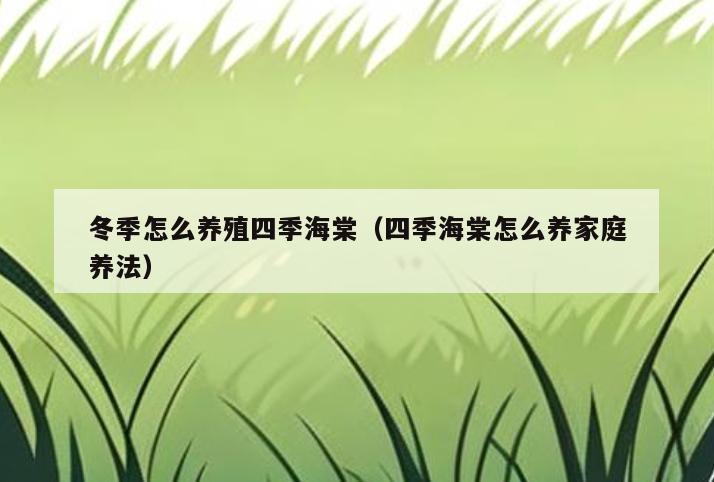 冬季怎么养殖四季海棠(四季海棠怎么养家庭养法)