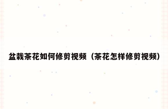 盆栽茶花如何修剪视频(茶花怎样修剪视频)
