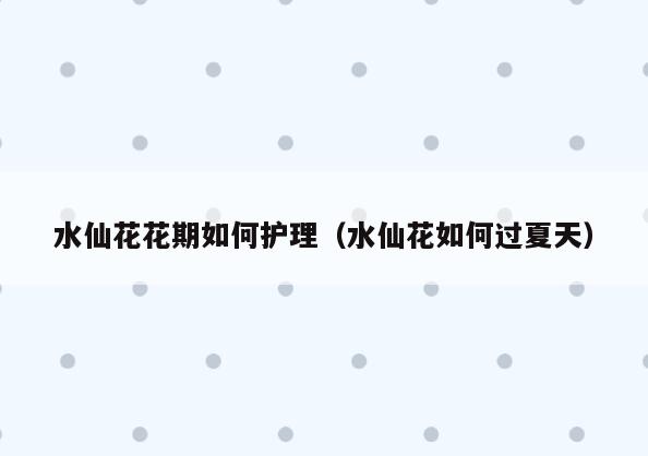 水仙花花期如何护理(水仙花如何过夏天)