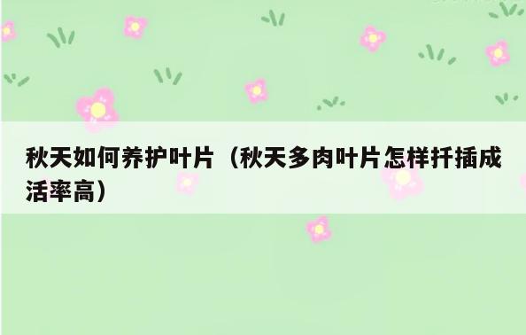 秋天如何养护叶片(秋天多肉叶片怎样扦插成活率高)