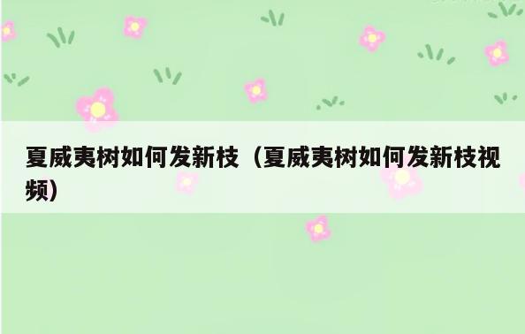 夏威夷树如何发新枝(夏威夷树如何发新枝视频)