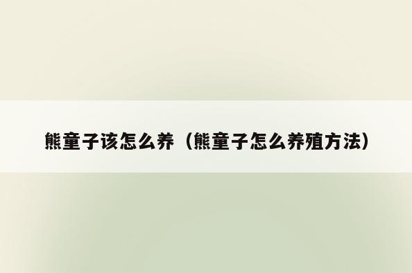 熊童子该怎么养(熊童子怎么养殖方法)