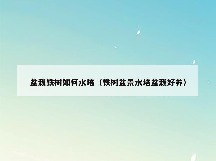盆栽铁树如何水培(铁树盆景水培盆栽好养)