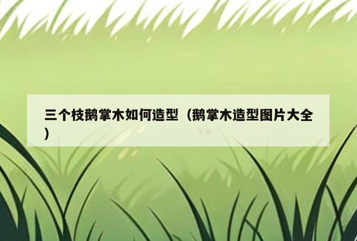 三个枝鹅掌木如何造型(鹅掌木造型图片大全)