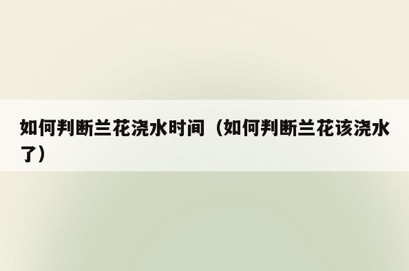 如何判断兰花浇水时间(如何判断兰花该浇水了)