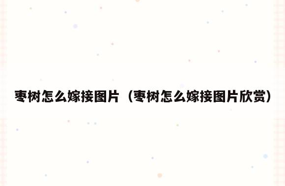 枣树怎么嫁接图片(枣树怎么嫁接图片欣赏)