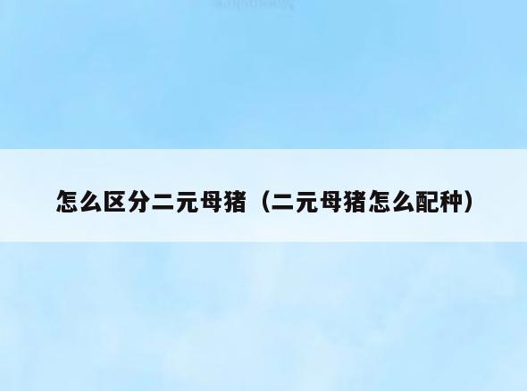 怎么区分二元母猪(二元母猪怎么配种)