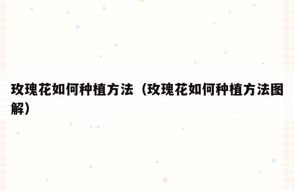 玫瑰花如何种植方法(玫瑰花如何种植方法图解)