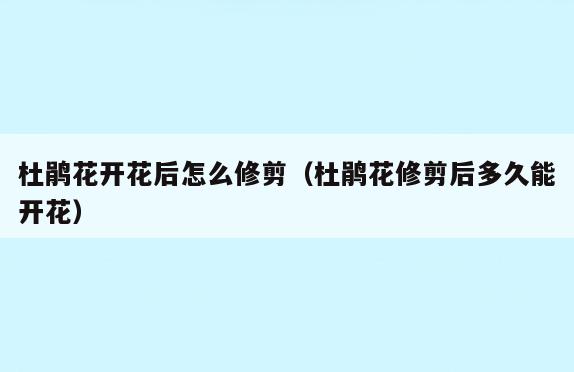 杜鹃花开花后怎么修剪(杜鹃花修剪后多久能开花)