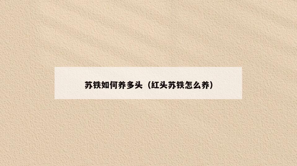 苏铁如何养多头(红头苏铁怎么养)