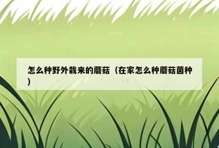 怎么种野外栽来的蘑菇(在家怎么种蘑菇菌种)