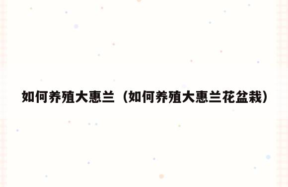如何养殖大惠兰(如何养殖大惠兰花盆栽)