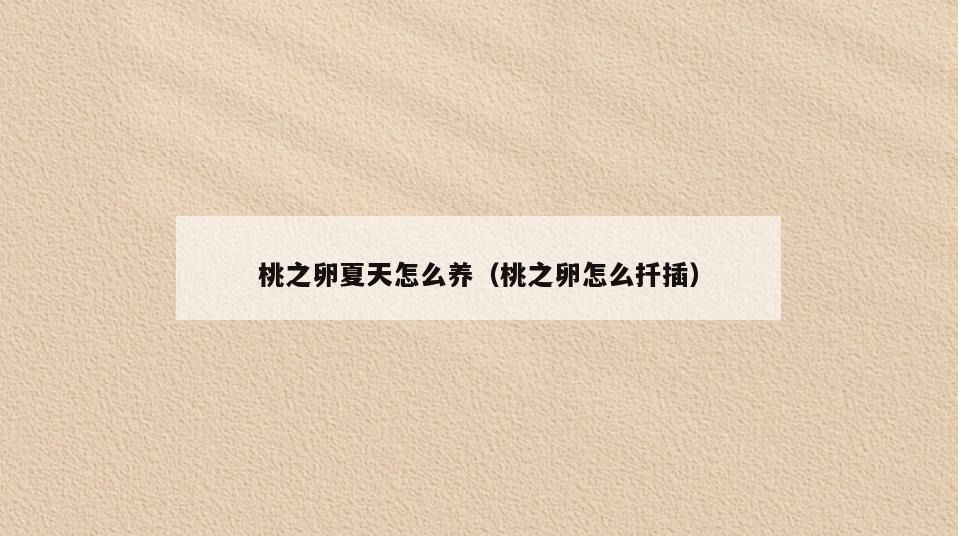 桃之卵夏天怎么养(桃之卵怎么扦插)