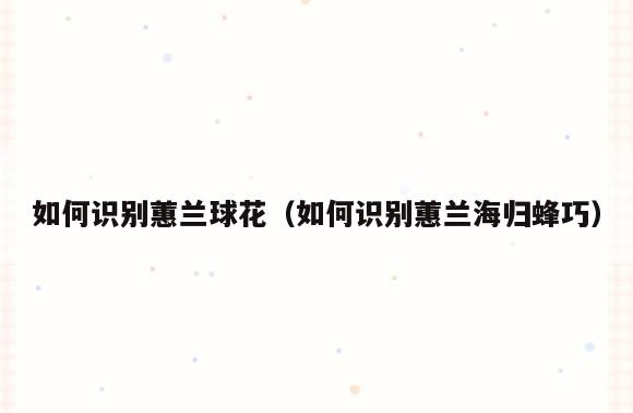 如何识别蕙兰球花(如何识别蕙兰海归蜂巧)