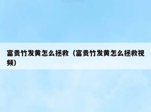 富贵竹发黄怎么拯救(富贵竹发黄怎么拯救视频)