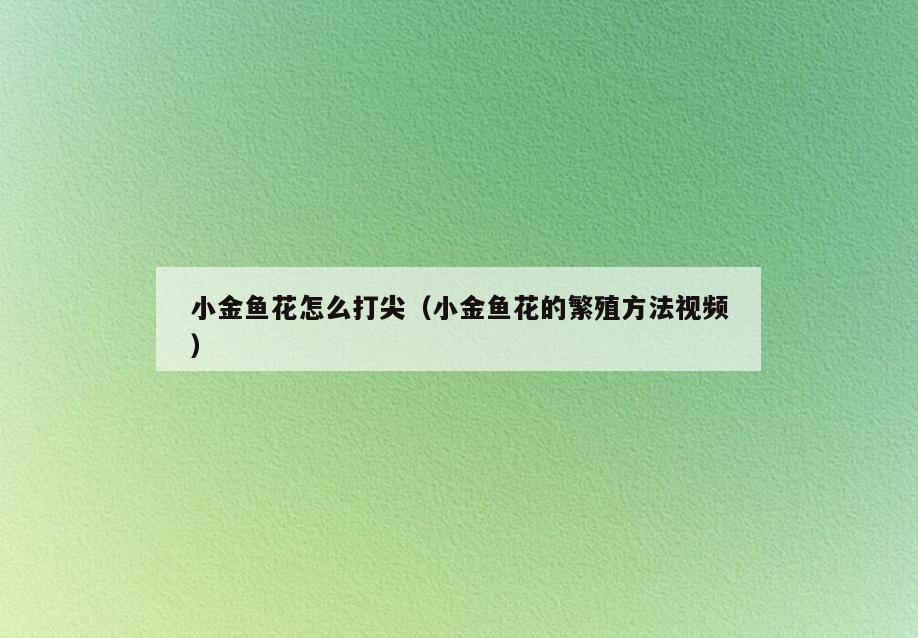 小金鱼花怎么打尖(小金鱼花的繁殖方法视频)
