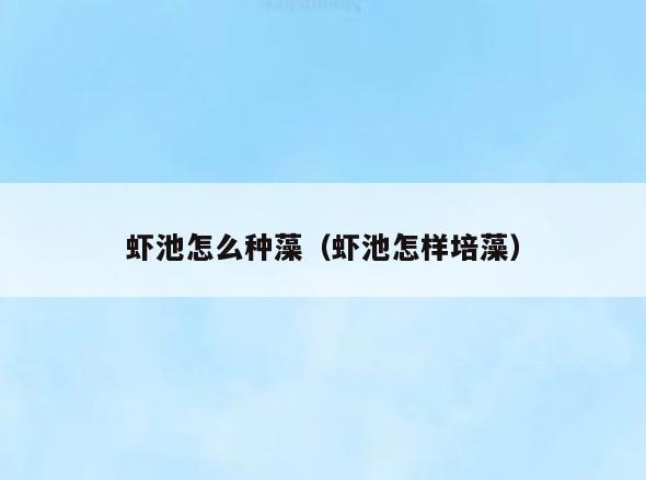 虾池怎么种藻(虾池怎样培藻)